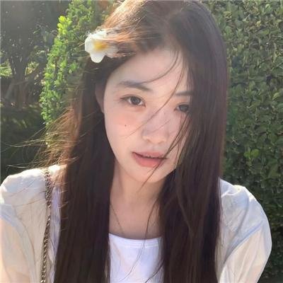 野探哈莉第四季